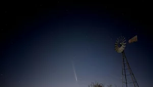 Miniatura: Najjaśniejsza kometa 2026 r. Być może...