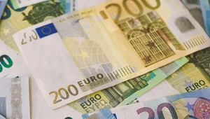 Miniatura: Co bankowcy myślą o euro w Polsce? Sondaż...