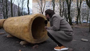 Miniatura: Plac zabaw jak wybieg dla psów? Urząd...