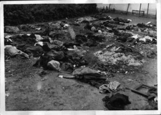 Zwłoki ofiar na&nbsp;podw&oacute;rzu więzienia przy ul. Łąckiego we&nbsp;Lwowie