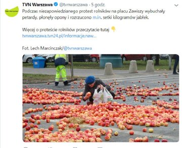 Starsza kobieta zbiera jabłka wyrzucone przez rolnik&oacute;w