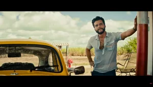 Miniatura: Kot z Recife