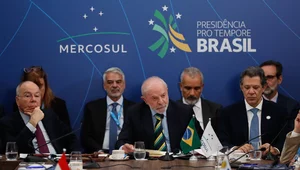 Miniatura: Struktura rolnictwa UE a bloku Mercosur....