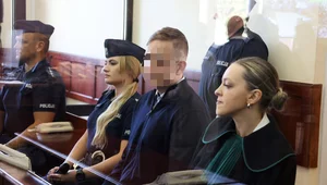 Miniatura: Tragiczny wypadek na A1. Sprawa trafiła do...