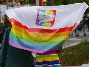 Miniatura: Rząd Tuska chce uznawać homoadopcję i...