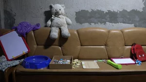 Miniatura: Rząd chce zmienić prawo, aby umożliwić...