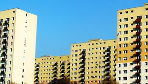 Miniatura: Minęła dekada, afera reprywatyzacyjna...