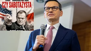 Miniatura: "Antyamerykańskie fobie". Morawiecki: Tusk...