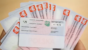 Miniatura: Ogromny wyciek danych na Dolnym Śląsku....