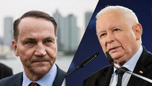 Miniatura: "Hańba kanaliom i ich patronom". Sikorski...