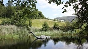 Miniatura: Perfekcyjne oszustwo. Niektórzy wciąż...