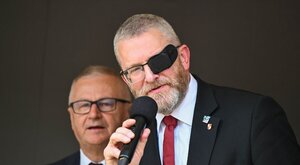 Miniatura: Gociek, Gmyz: Niebawem światło dzienne...