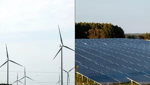 Miniatura: Ślepa transformacja