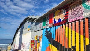 Miniatura: "Kojot" na granicy śmierci