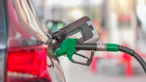 Miniatura: Ministerstwo nie wyklucza włączenia LPG do...