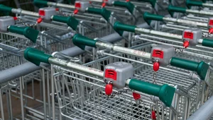 Miniatura: Portugalczycy robią w Polsce fortunę. Ale...