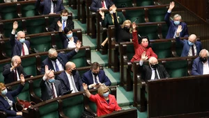 Miniatura: Sondaż: PiS wygrywa. Poważne kłopoty PSL