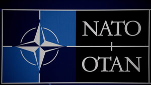 Miniatura: Nieoficjalnie: NATO zajmie się sprawą...
