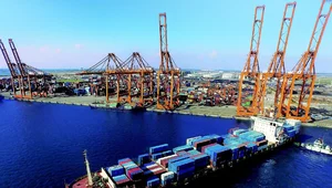 Miniatura: Celna gra Trumpa