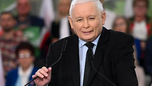 Miniatura: Sensacyjny sondaż. PiS znowu liderem