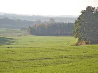 Wielkopolski Park Narodowy
