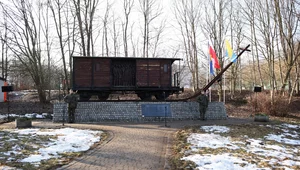 Miniatura: Ofiara staje się katem