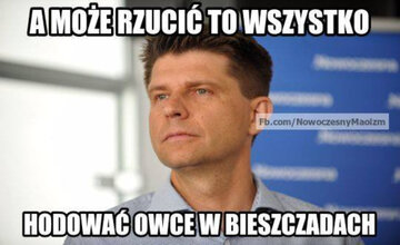 Nowoczesna - memy 
