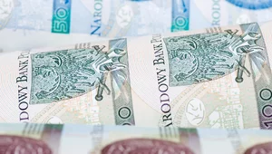 Miniatura: To czeka polską gospodarkę. Nowa prognoza