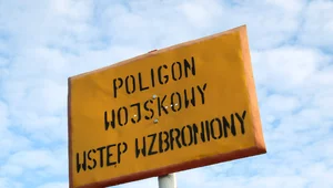 Miniatura: Coraz więcej grup zawodowych buntuje się...