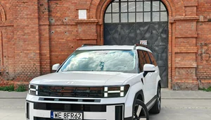 Miniatura: Hyundai Santa Fe