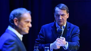 Miniatura: Sikorski jako premier ocali koalicję...