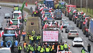 Miniatura: Czy Polacy popierają protesty rolników?...