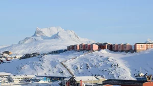 Miniatura: Wspólna misja NATO na Grenlandii? Nowe fakty