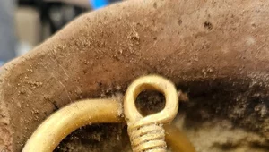 Miniatura: Sensacyjne odkrycie. Złoty skarb w garnku...