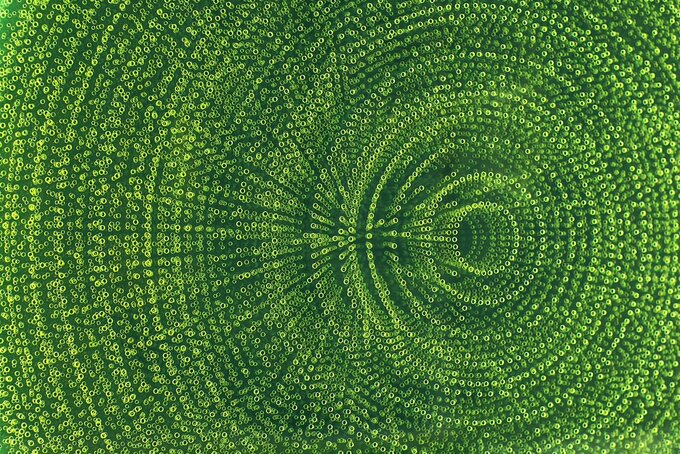 Sztuka niezależna w&nbsp;Centrum Praskim Koneser. Rozpoczyna się Warsaw Off ART