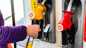 Miniatura: Wysokie ceny paliw na stacjach. Niemcy...