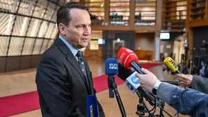 Miniatura: Sikorski: To bezpieczeństwo Europy będzie...