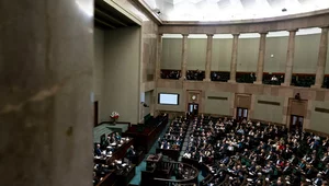 Miniatura: Tak zagłosowaliby Polacy. Partia Brauna z...