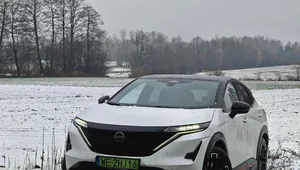 Miniatura: Nissan Ariya Nismo