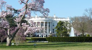 Miniatura: Kabul i Caracas