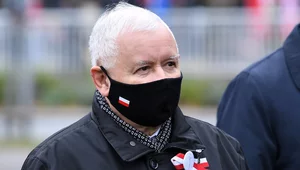 Miniatura: Politolog: Scenariusz sojuszu PSL z PiS...