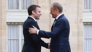 Miniatura: Macron dzwonił do Tuska przed głosowaniem...