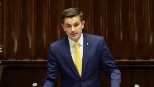 Miniatura: Po prostu brokat...