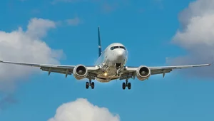 Miniatura: Doniesienia o planach powrotu na Ukrainę....