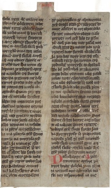 Biblia kr&oacute;lowej Zofii
