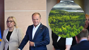 Miniatura: Aktywiści "ekologiczni" będą mogli...