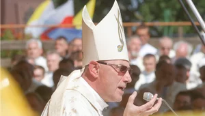 Miniatura: „Bez parasola i podpórki"