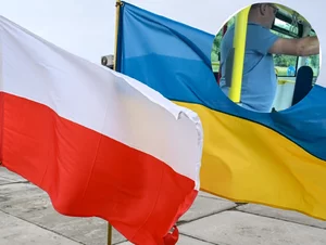 Miniatura: Polityka przymusowej przyjaźni