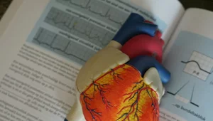 Miniatura: Szpital brał pieniądze z NFZ za fikcyjne...