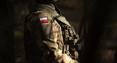 Miniatura: Polski żołnierz postrzelił nielegalnego...